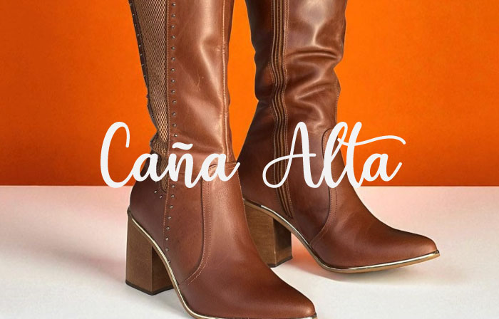 Botas caña alta